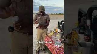 What’s a day on safari look like (part 2!) #safari #africa