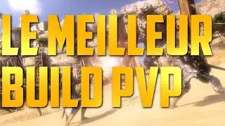 LE MEILLEUR BUILD PvP sur THRONE AND LIBERTY