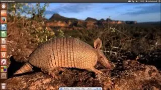 Armadillo Tut 1   Introduction and basic matrix setup