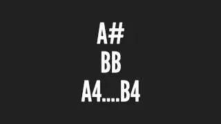 A4 Sharp & B4 Flat