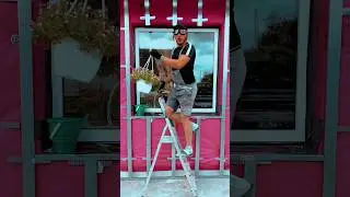 Налетели как саранча, ча-ча-ча🤣