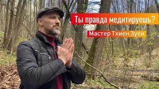 ТЫ ПРАВДА МЕДИТИРУЕШЬ? Мастер Тхиен Зуен.