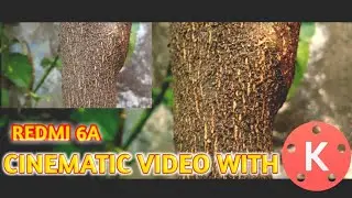 Cinematic Video With Redmi 6A Using Kinemaster|| How To Shoot Cinematic Video With Mobile Like Dslr