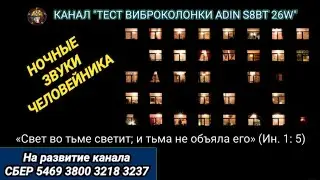 448. Ответ шумным соседям. Ночные звуки человейника