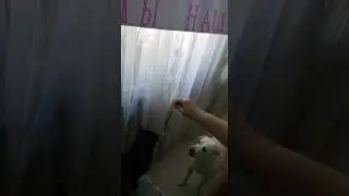 Инь янь