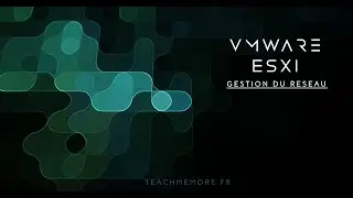 vmware esxi tutoriel Comment gérer et configurer les nic
