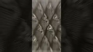 Graphics. 12 hours in 1 minute 