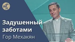Задушенный заботами  / Гор Мехакян  / 20.07.2024
