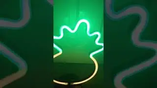 Random video because I was bored