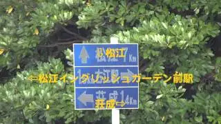 発見!!　珍標識