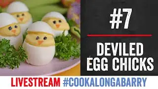 Deviled Egg Chicks - Livestream 7 
