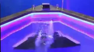 Купели GoodWood 00