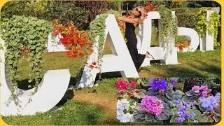 Хорошие идеи для дачников, ландшафтного дизайна. Рецепт салата)