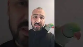 TAVŞAN DAĞA KÜSMÜŞ DAĞIN HABERİ OLMAMIŞ ümit volkan durmaz