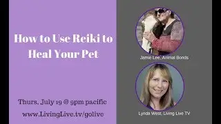 How to Heal Your Pet Using Reiki with Jamie Lee