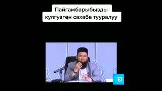 Пайгамбарыбызды кулгузгон сахаба