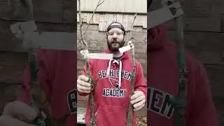 Planting Pecan Tree 