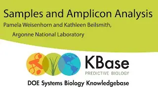 Samples and Amplicons in KBase - 11 November 2021