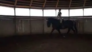 рысим