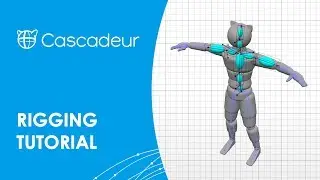 Cascadeur Tutorial: Rigging
