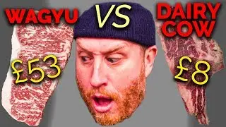 £53 Wagyu Steak Vs £8 Old Retired Dairy Cow | John Quilter