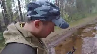 проверка боя у ружья
