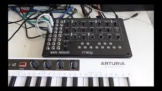 Moog Mavis