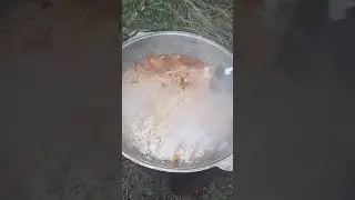 Плов почти готов🤤🔥 #shorts#food#еда#вкусно#плов#узбекскийплов#узбекская_кухня#природа#красота