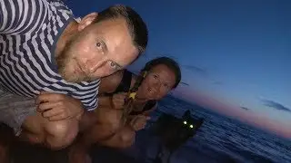 Отдых на море. На машине с собаками!
