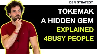 TOKEMAK A HIDDEN GEM: explained 4 busy people