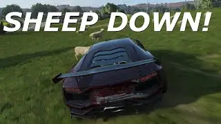 I hit a sheep - Forza Horizon 4