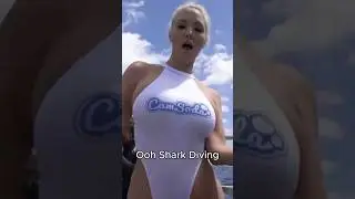 Shark Encounter When Cage Diving Gone Wrong