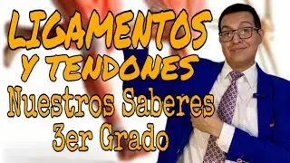 Los LIGAMENTOS y TENDONES | NUESTRO SABERES | 3° Grado | Primaria | Profe Del Valle