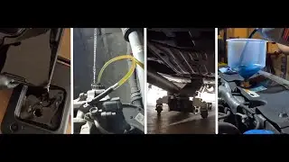 2018-2024 | OIL-TRANSMISSION-BRAKE-COOLANT Change | Honda Accord Sport 1.5T