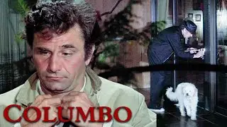 Auf frischer Tat ertappt? | Columbo DE