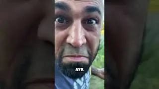 Картофель с говядиной