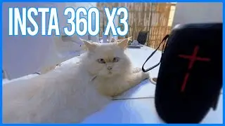 Insta 360 X3 Test