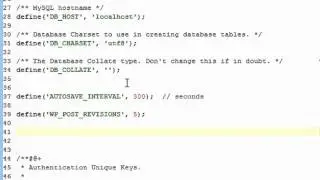 WP201-11 Optimize Wordpress-optimize Wordpress empty trash