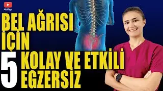 BEL AĞRISI İÇİN 5 KOLAY EGZERSİZ (Bel fıtığı, Bel düzleşmesi için)