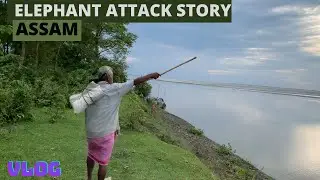 ELEPHANT ATTACK STORY | ASSAM | Flood story |#assamesevlog