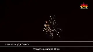 СР583019 Джокер
