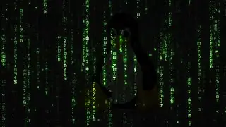 Matrix no Terminal