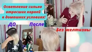 Осветление волос в домашних условиях/Осветление БЕЗ ЖЕЛТИЗНЫ/Тонирование👱‍♀️✂