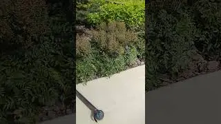 это мой дом