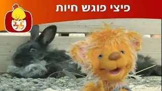 פיצי פוגש חיות: דג וארנב - ערוץ לולי