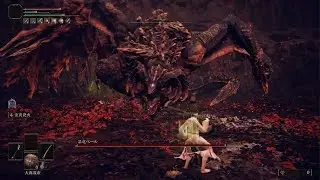 エルデンリング 暴竜ベール 8周目 レベル1 加護0
