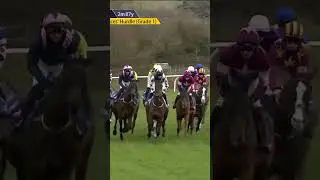 The famous Cheltenham roar ❤️ 