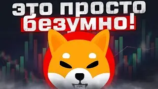 ЭТО НАКОНЕЦ ПРОИСХОДИТ! ШИБА ИНУ ЗАКЛЮЧИТ НОВОЕ СОТРУДНИЧЕСТВО!