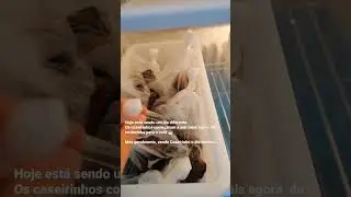 500 REAIS DE FATURAMENTO SÓ COM O BOLO GELADO por Dri Nascimento #shorts