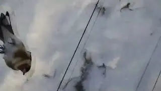 Отзыв на сеть